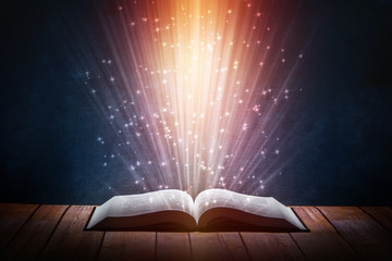 中国乒乓球运动员排行榜前十名