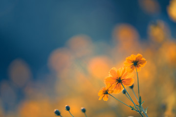 乒乓球拍（横拍）反手长胶的打法