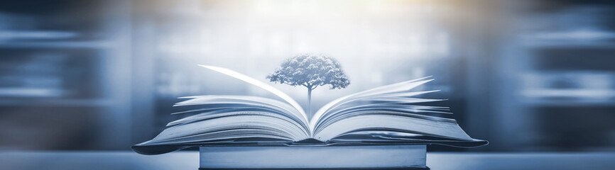 乒乓球的规则是什么？