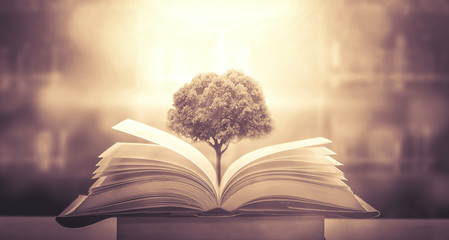 乒乓球发球技巧