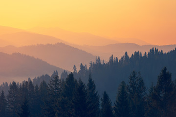 乒乓球国家队的陪练都是什么水平？