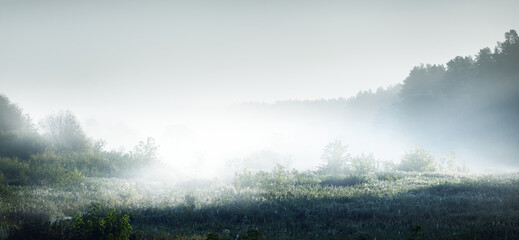 乒乓球国家队的陪练都是什么水平？