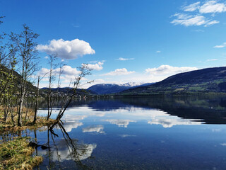 历届女单冠军一览表