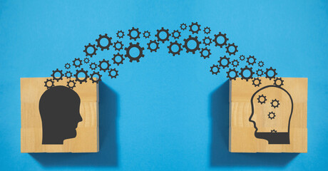 张怡宁和邓亚萍谁更厉害？