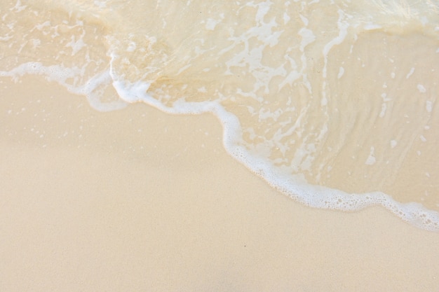 中国乒乓球运动员排行榜前十名