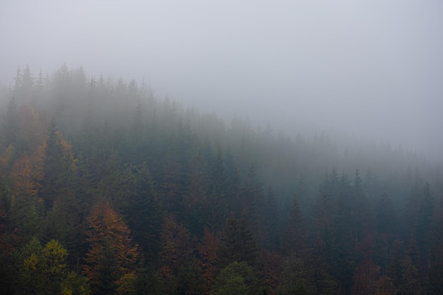 乒乓球国家队的陪练都是什么水平？