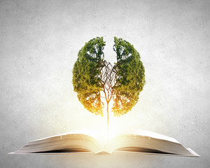 深圳乒乓球私教班机构