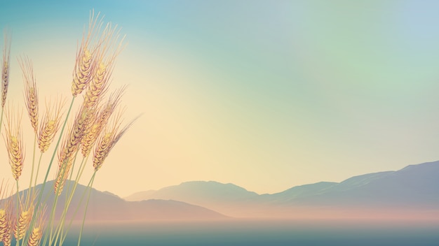 乒乓球国家队的陪练都是什么水平？