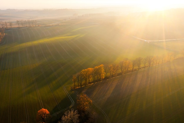 乒乓球拍（横拍）反手长胶的打法