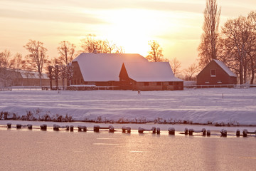 乒乓球运动现状和发展趋势