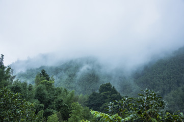 张怡宁和邓亚萍谁更厉害？